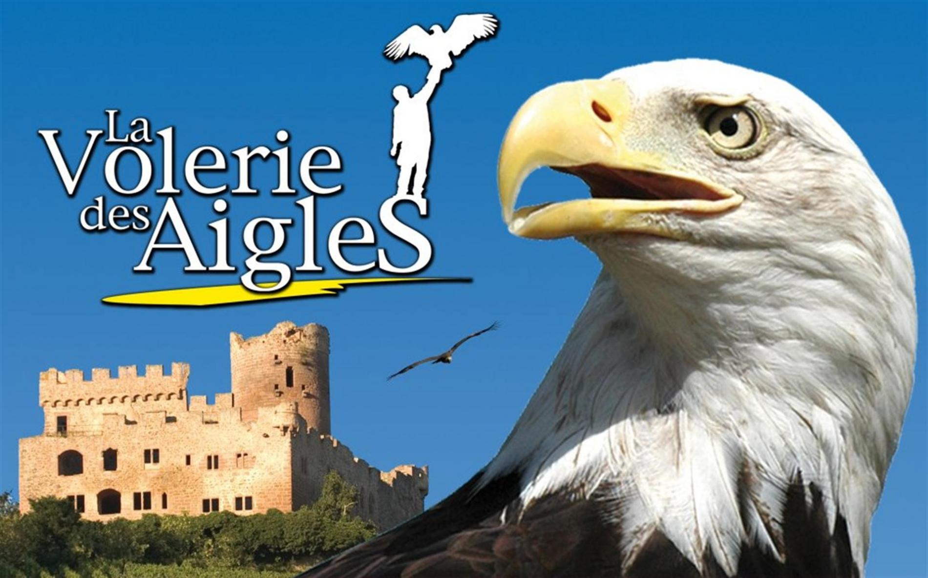 The eagle volerie
