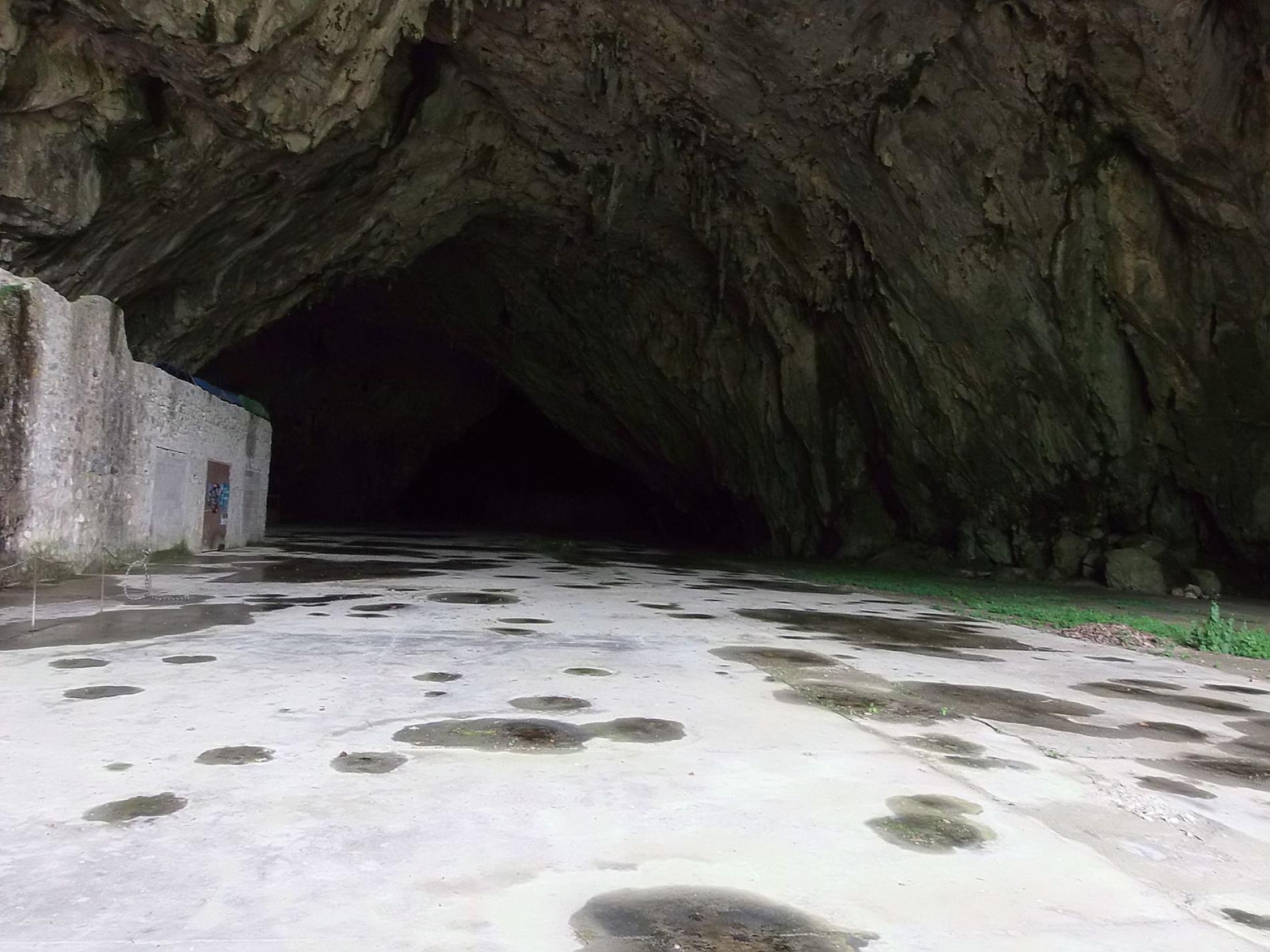 The prehistoric Bédeilhac cave