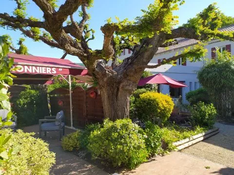 Le jardin
