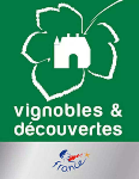 vignoble et decouvertes