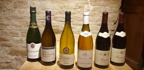 image DISCOVER THE GREAT WINES OF BURGUNDY: indulge yourself 