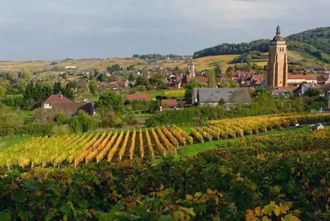 image Logis Hotel des Cépages