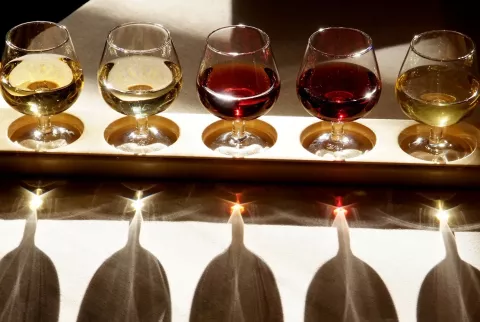 image Logis Hotel des Cépages