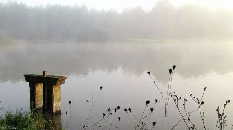 image Logis Hôtel du Cygne