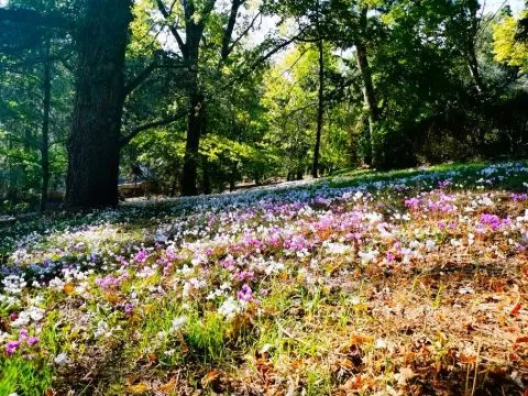 Bourbon-Lancy & Le Pal