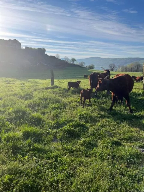 image Hotel Le Bailliage