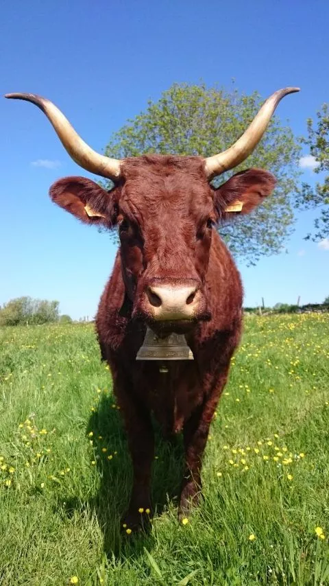 image Hotel Le Bailliage