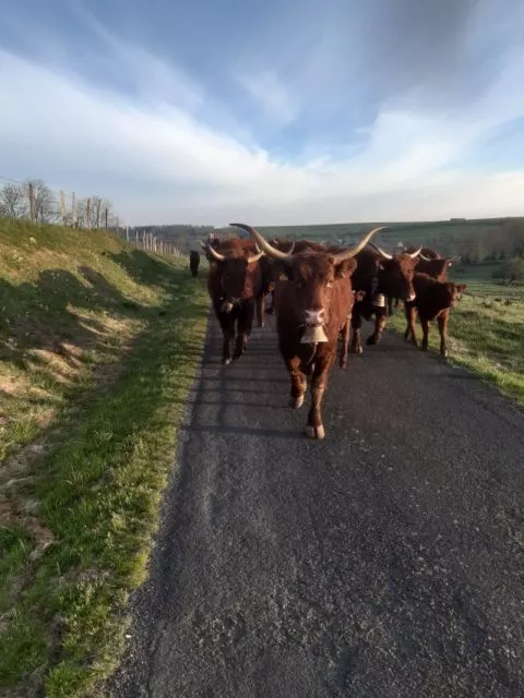 image Hotel Le Bailliage