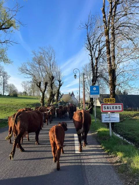 image Hotel Le Bailliage