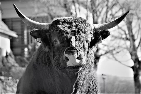 image Hotel Le Bailliage