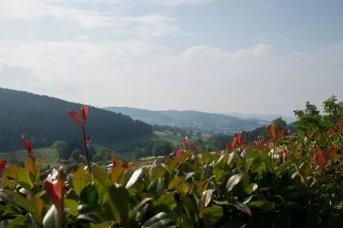 Discover the Beaujolais Vert