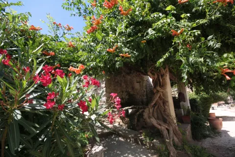  Le mois de Mai est synonyme de soleil, de bons moments de détente avant l'été, de farniente et de bons prix aussi