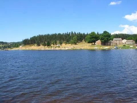 image Le Bois Sauvage