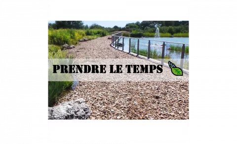 image Logis Hôtel du Cygne