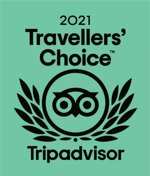tripadvisor 2021