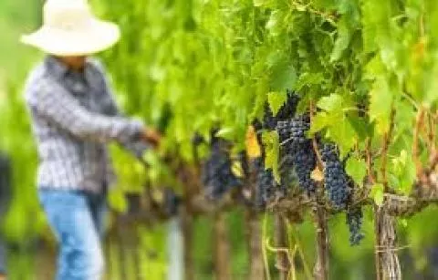 image LOGIS HÔTEL*** RESTAURANT SÉMINAIRES SOLENCA