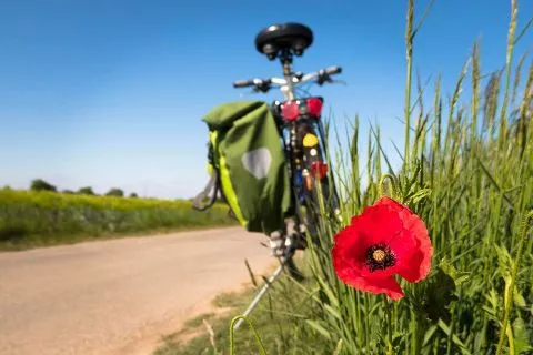 Le Sud-Vendée à Vélo | Découvrir un Patrimoine d’Exception