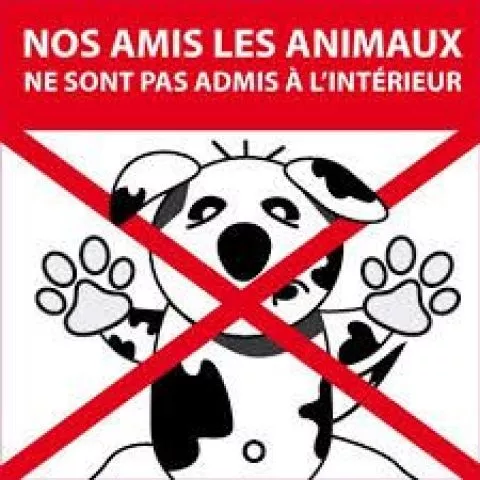 image les animaux de compagnie ne sont pas acceptés dans notre établissement