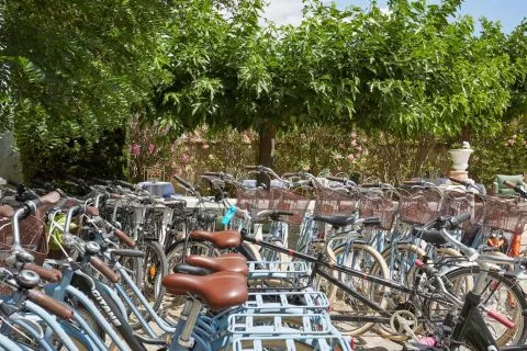 image Hotel Le Rodin