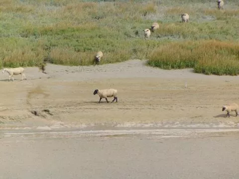 image Logis Hôtel le Relais Guillaume de Normandy