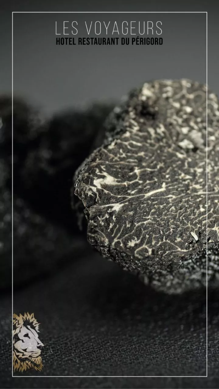   MENU TRUFFES 69 &euro;