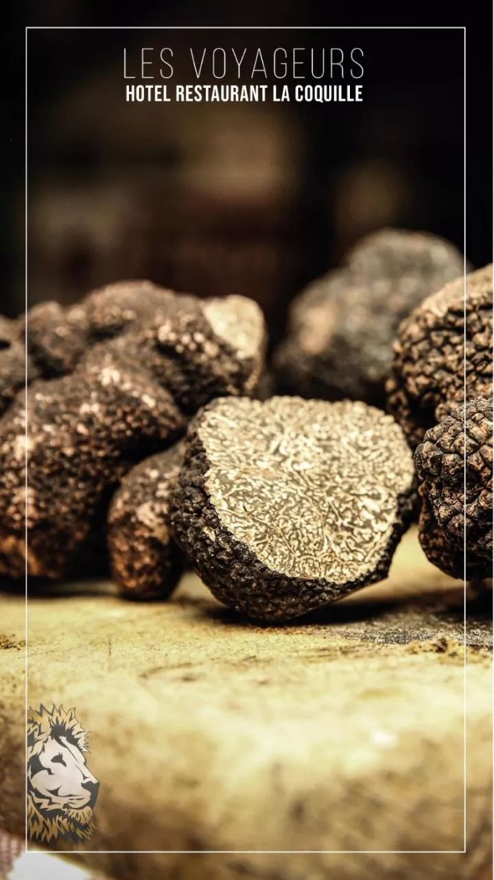   MENU TRUFFES 69 &euro;