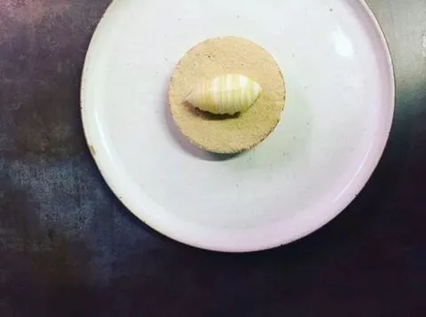 image Logis Hotel Le Centre Poitou