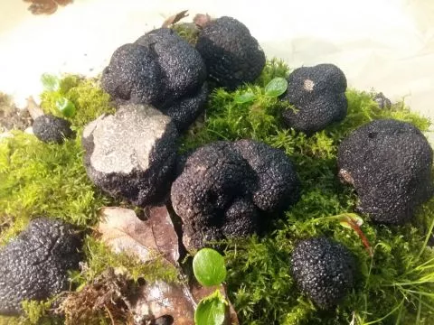 image Logis Hotel Le Centre Poitou