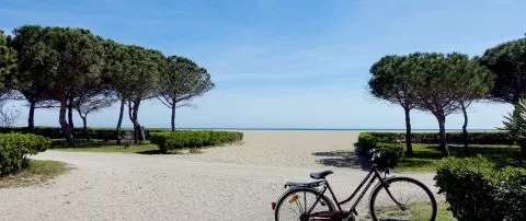 image Hotel les Mimosas