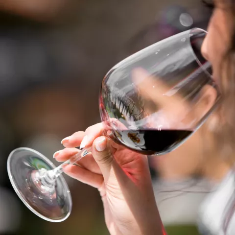 image La Vieille Ferme Hotel