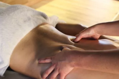 image Domaine de la Forêt d'Orient