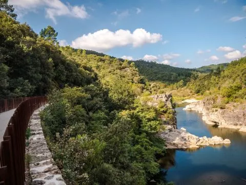 image Le Bois Sauvage