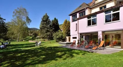 image Hotel des Vosges