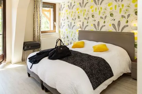 image Hôtel des Vosges