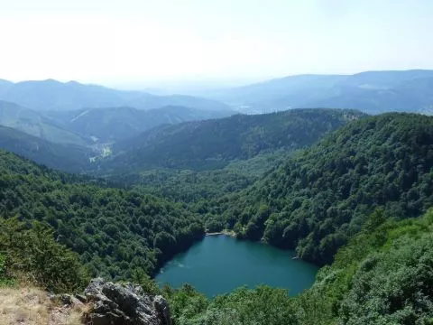 image Hôtel des Vosges
