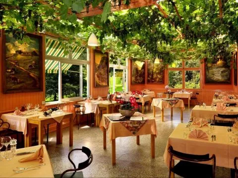 image Hôtel des Vosges