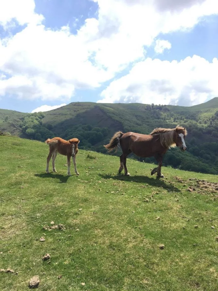 image  PROFITEZ DE NOS OFFRES