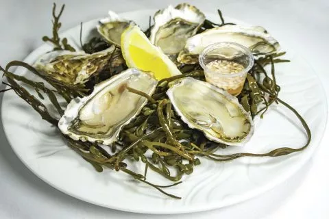 image Hôtel Le Bretagne