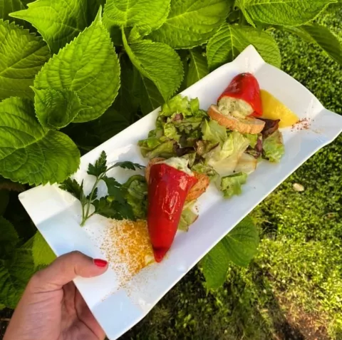 image Hôtel Les Vagues