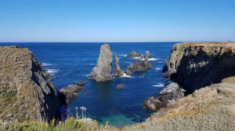 DISCOVER MORBIHAN GULF