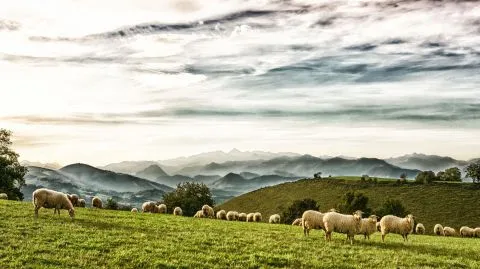 image LARRAU & SURROUNDINGS