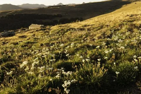 image Les Maisons de Montagne hôtels & Spa
