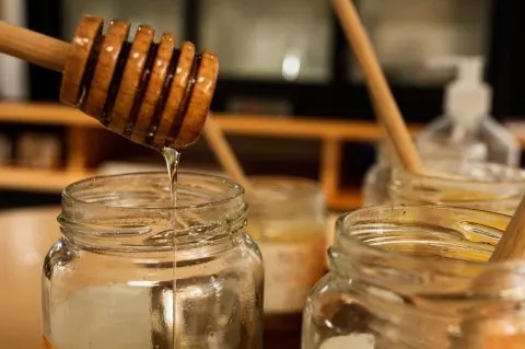 image Hôtel les Sables