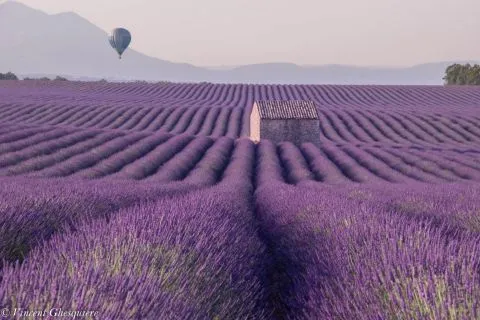 image Hôtel La Bonne Auberge