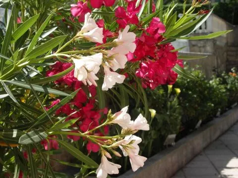 image Hôtel La Bonne Auberge