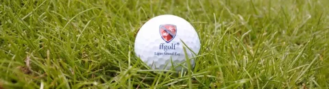 image Domaine de la Forêt d'Orient