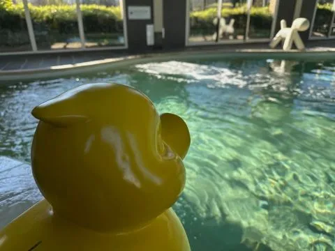 image Balnéothérapie du SPA Les Thermes