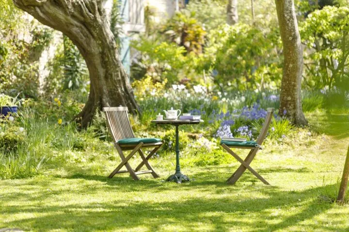  The wellness area