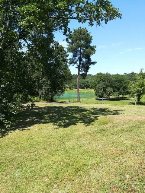 image Logis Hôtel le Tropicana