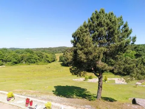 image Logis Hôtel le Tropicana